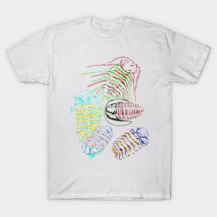 Silurian and Devonian Era Trilobites T-Shirt